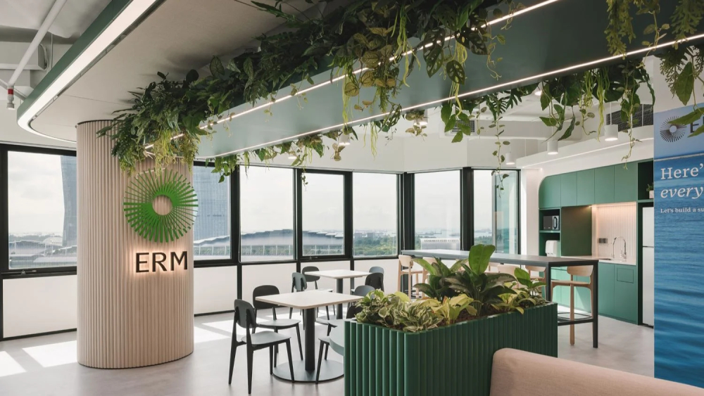 Các nguyên tắc thiết kế nội thất văn phòng cần nắm vững