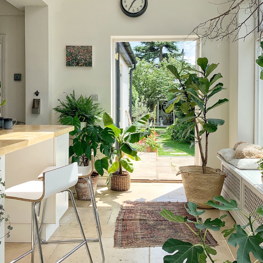 Lợi ích khi thiết kế nhà có cây trong nhà