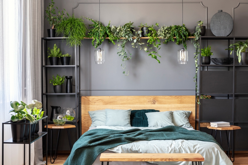 Cách thiết kế nhà có cây trong nhà cho phòng ngủ