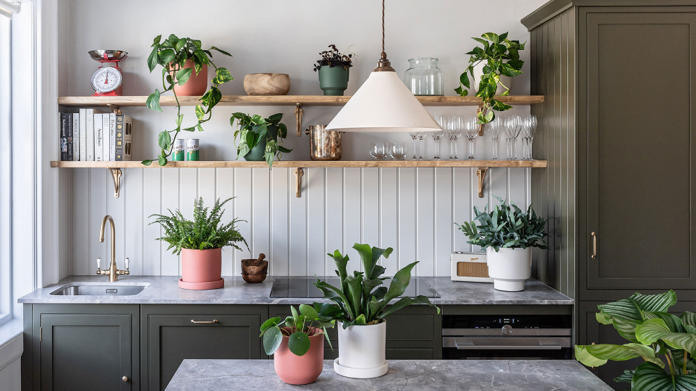 Lưu ý khi đặt cây xanh trong bếp