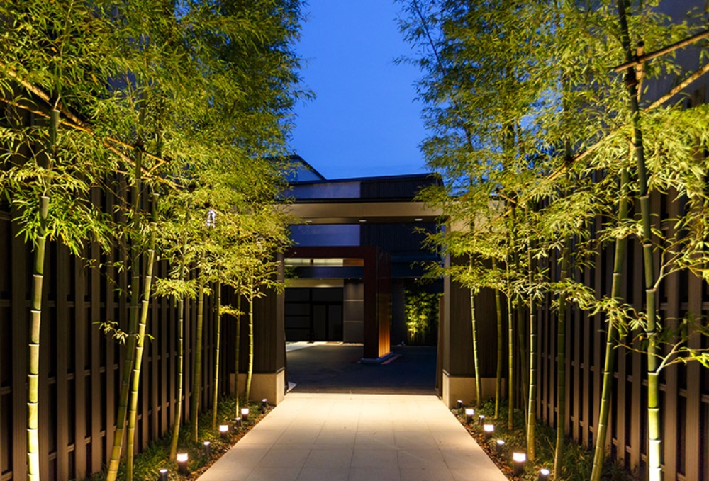 Phong thủy cây xanh trước nhà nên trồng cây gì?