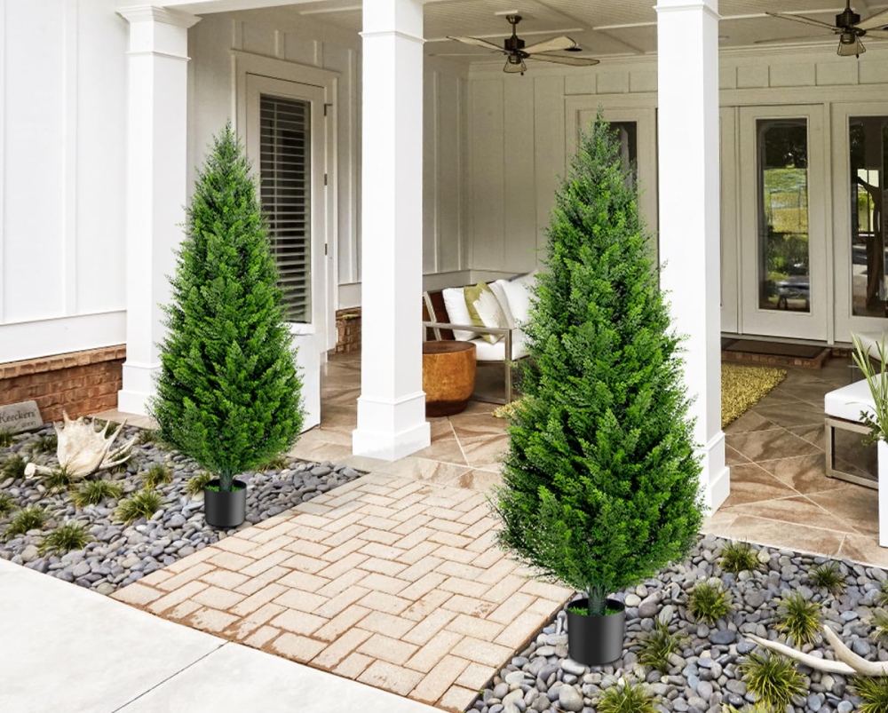 Phong thủy cây xanh trước nhà nên trồng cây gì?