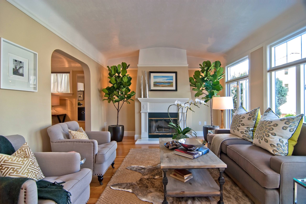 Lợi ích của việc trang trí nhà đẹp với cây xanh