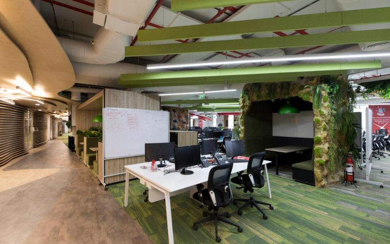 Thiết kế văn phòng phong cách Eco