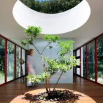 thiết kế nhà có cây trong nhà