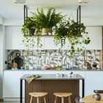Phong thủy cây xanh trong bếp