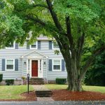 Phong thủy cây xanh trước nhà